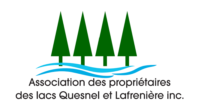 Logo4